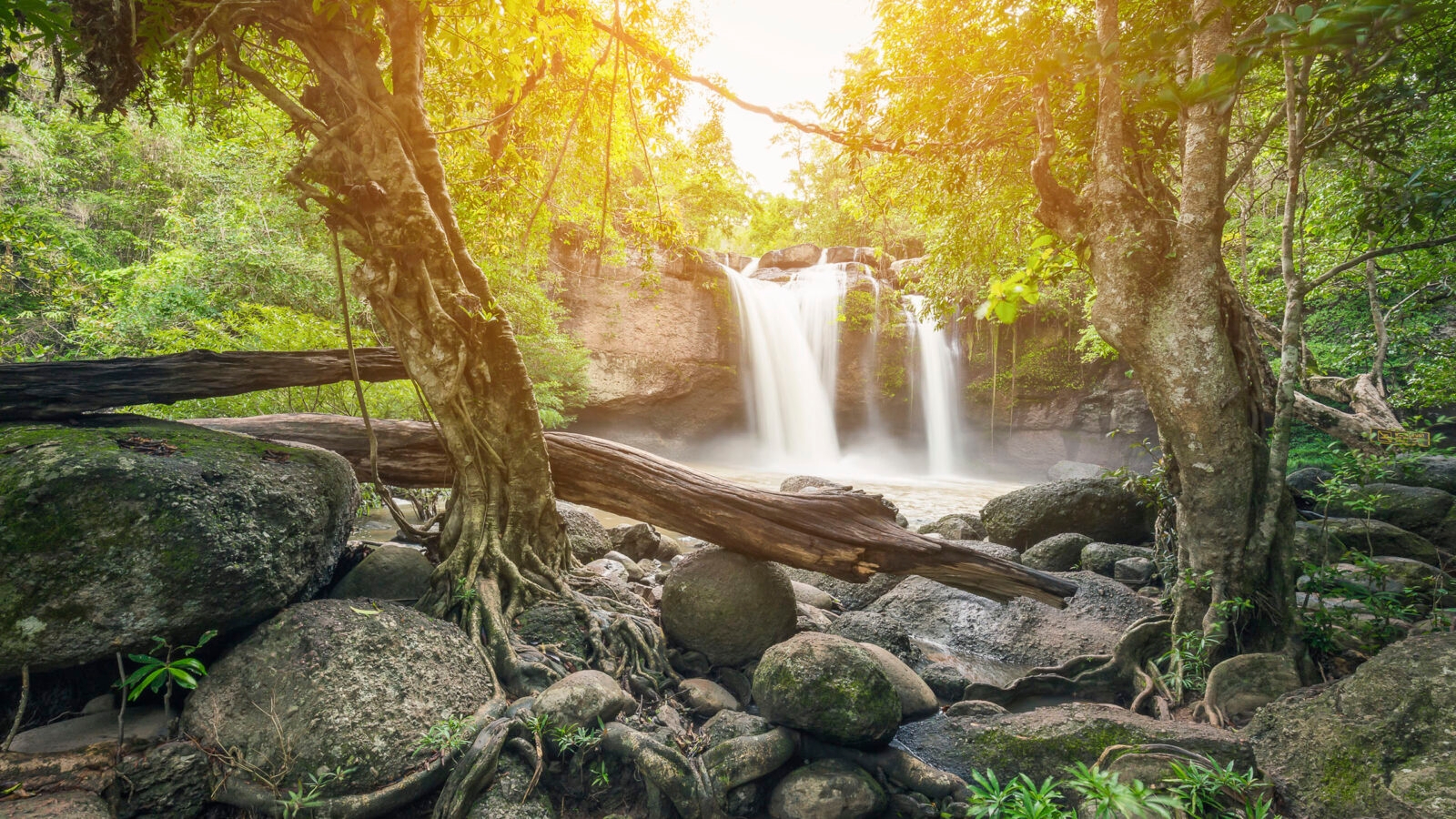 A beautiful waterfall flows into a rocky pool surrounded by dense jungle greenery, featured on luxury Belize trips.