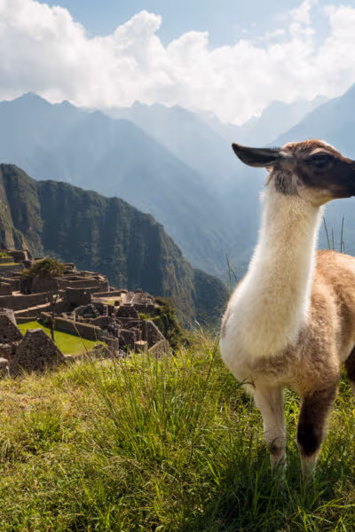 A Private Family Tour of Peru