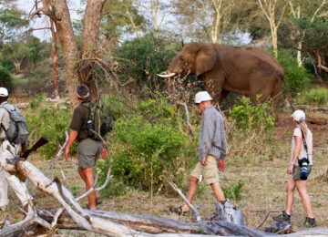 Northern Kruger National Park thumbnail