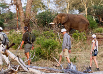 Northern Kruger National Park thumbnail