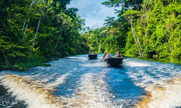 Motorboats create white wakes as they travel down a calm river through a thick green jungle with passengers on board.