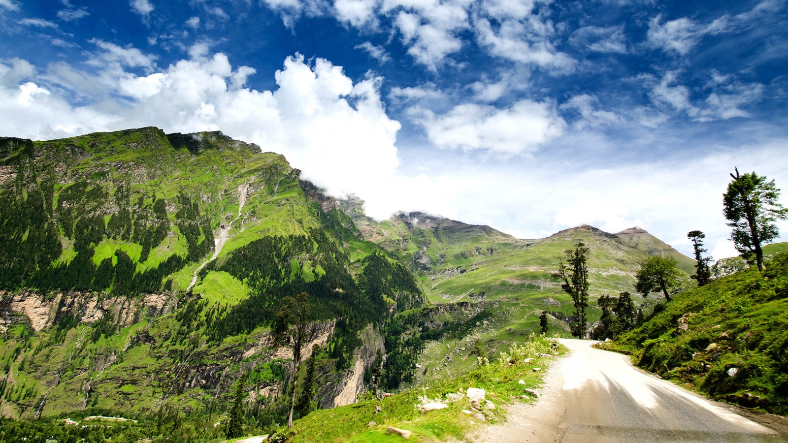 Landscape in Manali, Himachal Pradesh, India