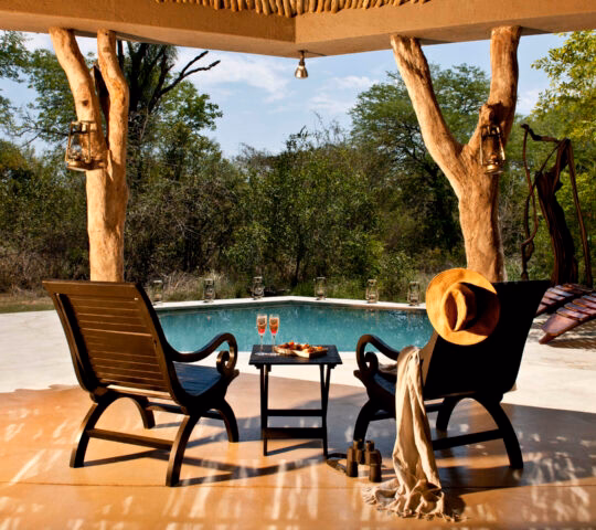 Sabi Sabi Bush Lodge - Mandleve Suite Pool View