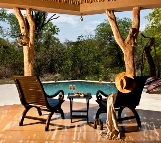 Sabi Sabi Bush Lodge - Mandleve Suite Pool View