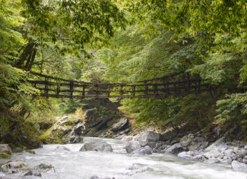 Shikoku thumbnail