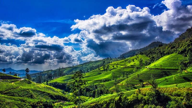 sri lanka landscape