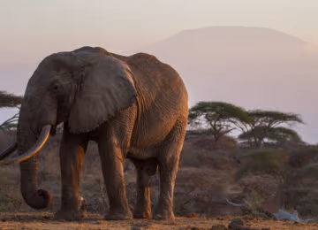 Chyulu Hills thumbnail
