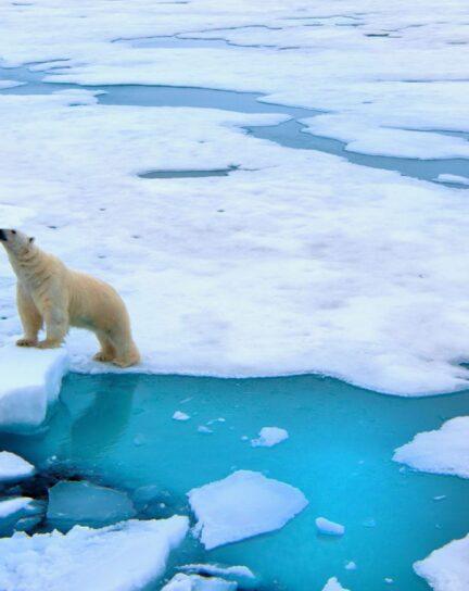 Luxury Polar travel experiences