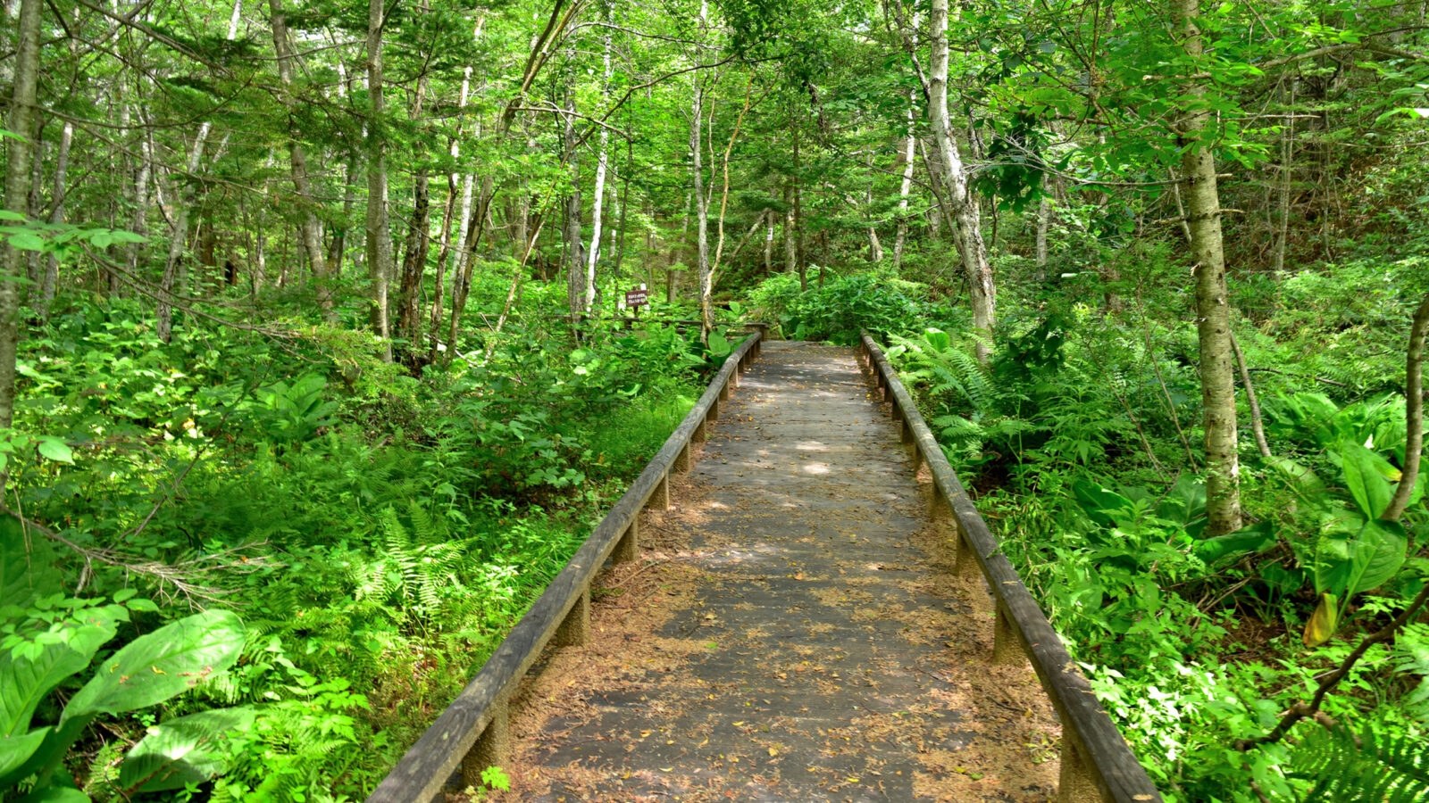 japanese-alps-hiking