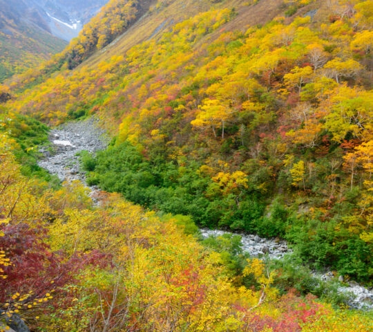 japanese-alps-scenery-autumn