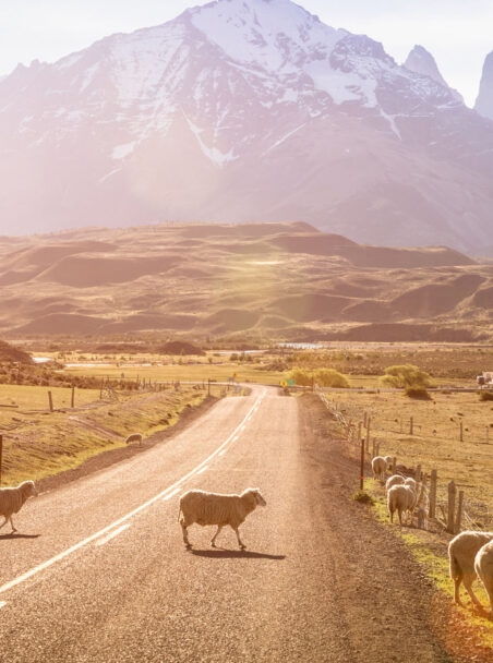 Argentina or Chile: Where Should I Go?
