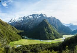 A Complete Reset in New Zealand