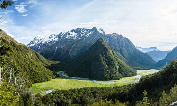 A Complete Reset in New Zealand