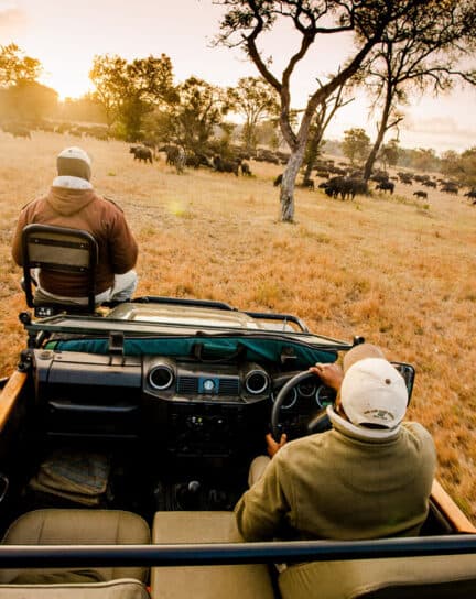 What to Pack for a Safari