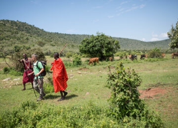 Loita Forest thumbnail