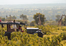 Cottar’s 1920s Safari Camp