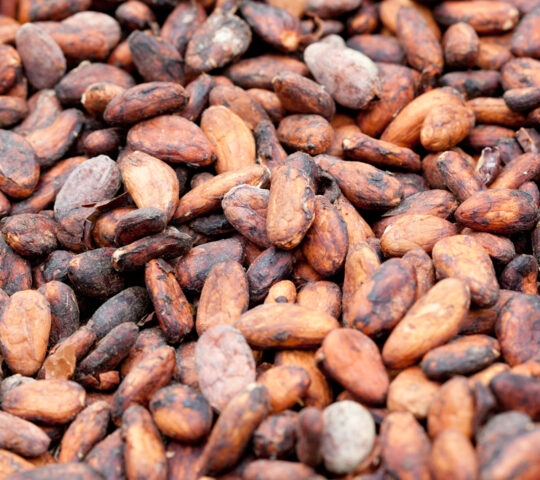 costa-rica-cocoa-beans
