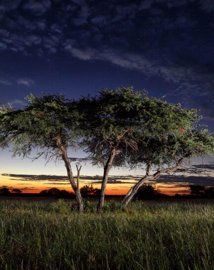 What to Do in South Africa