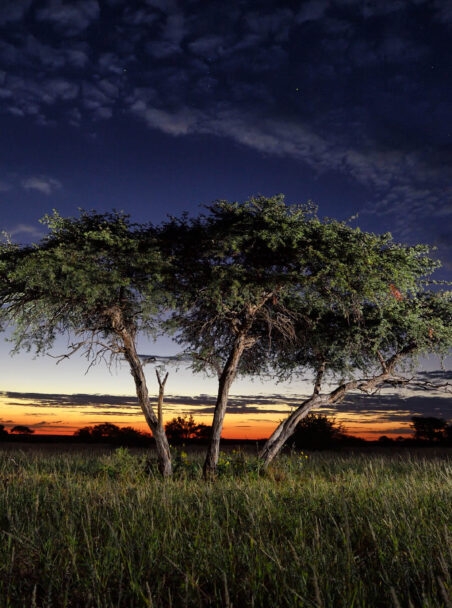 What to Do in South Africa