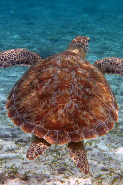 Luxury Belize Adventure