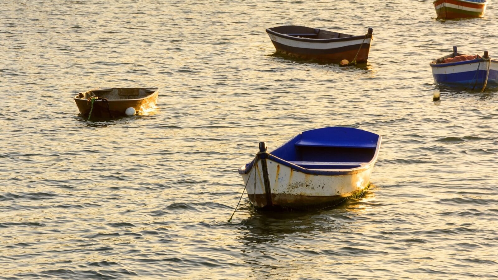 buzios-boats