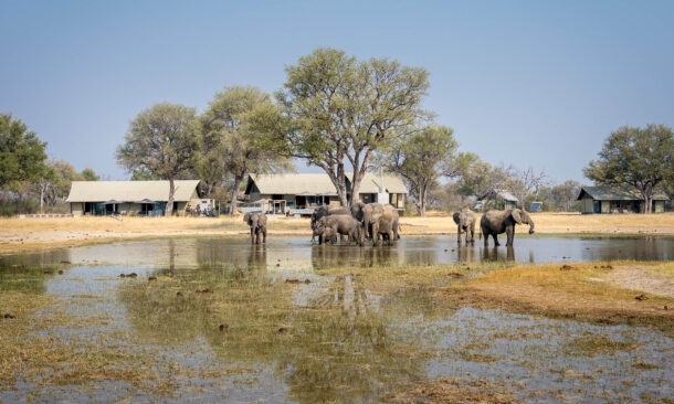 Wilderness Linkwasha Camp