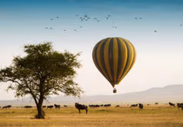 Family adventure to Tanzania