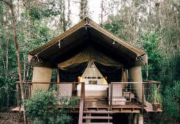 Paperbark Camp