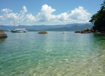 Picinguaba thumbnail