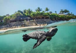 Luxe Java, Sumba and Komodo Adventure