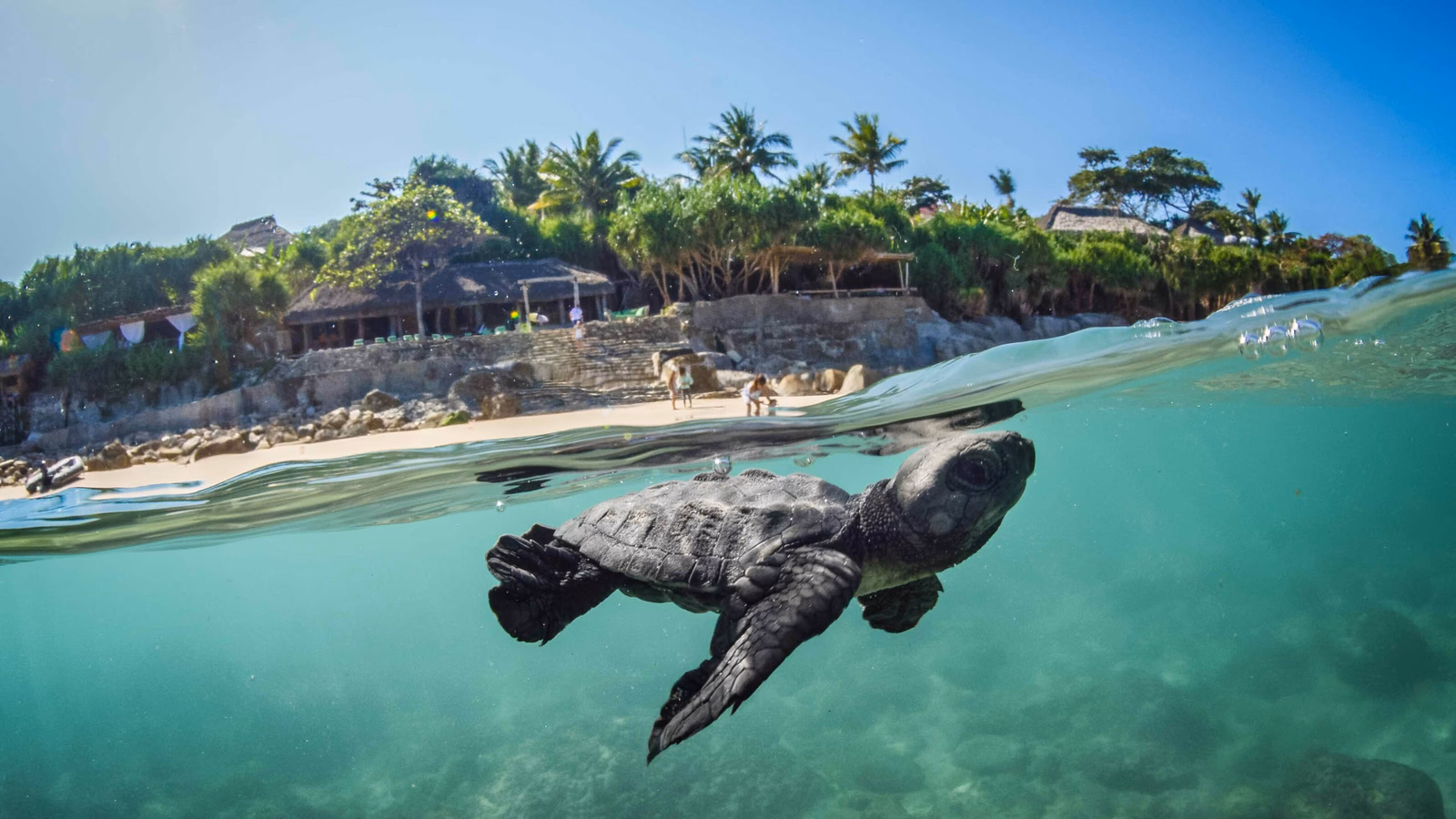 nihi-sumba-island-indonesia