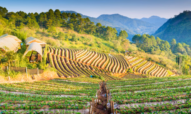 chiang-rai-countryside