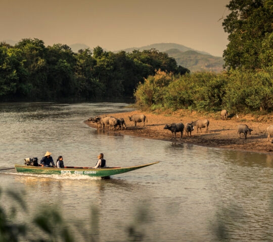 four-seasons-golden-triangle-longtail-boat