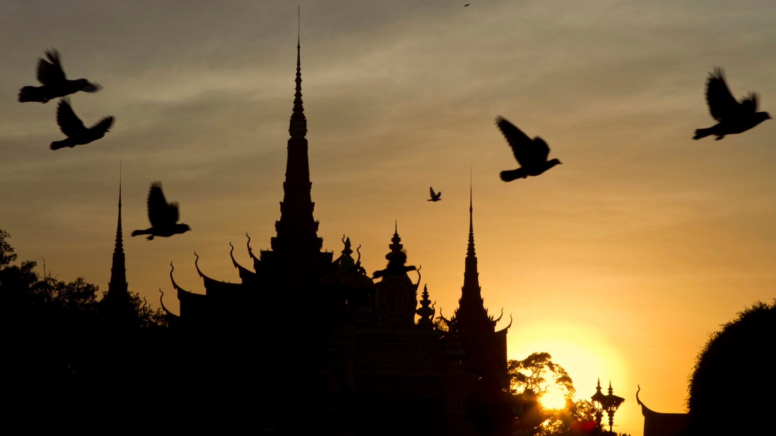 pigeons-phnom-penh-sunset