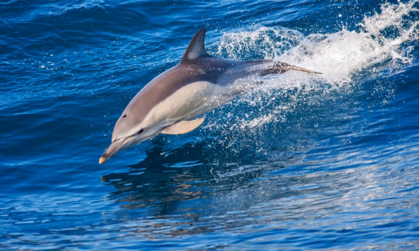 A Family Adventure in Portugal