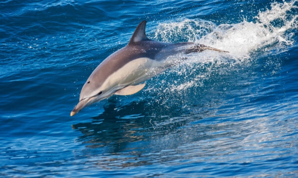 A Family Adventure in Portugal