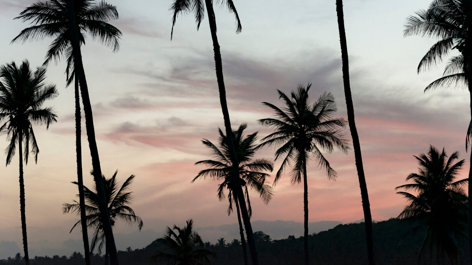amanwella-palm-trees-and-sunset