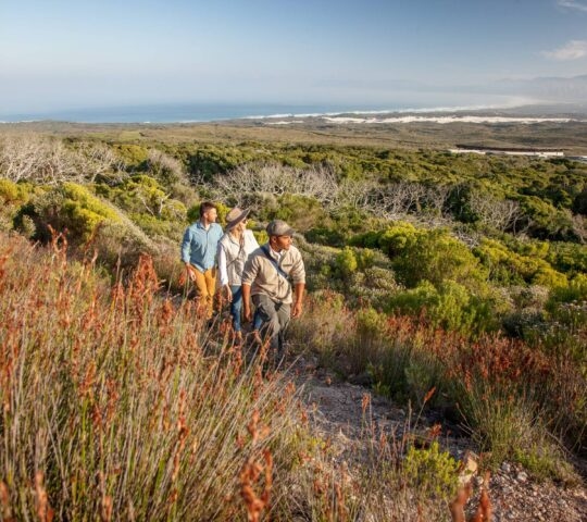 grootbos-reserve-whale-coast-south-africa