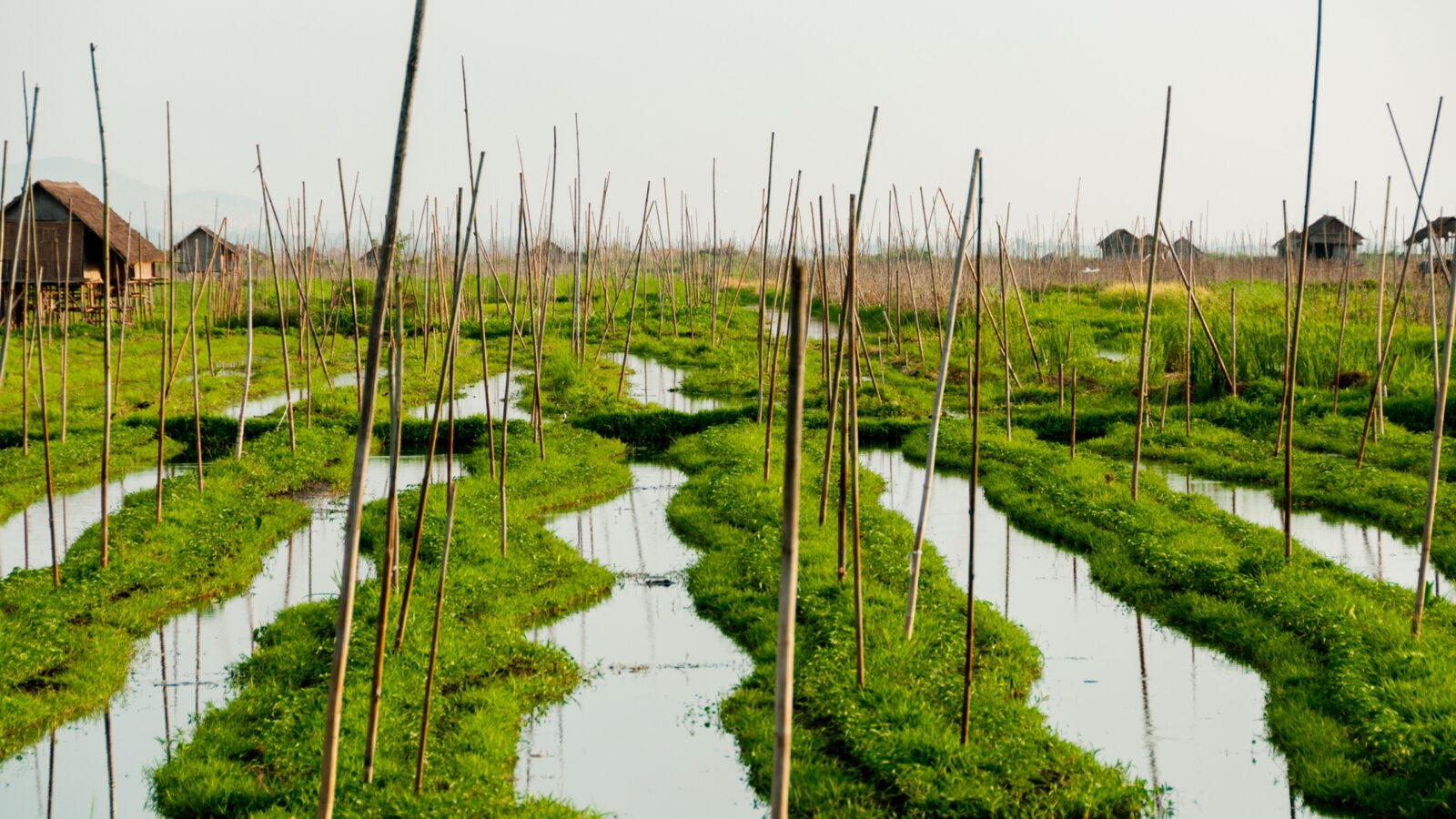 inle-lake-floating-garden