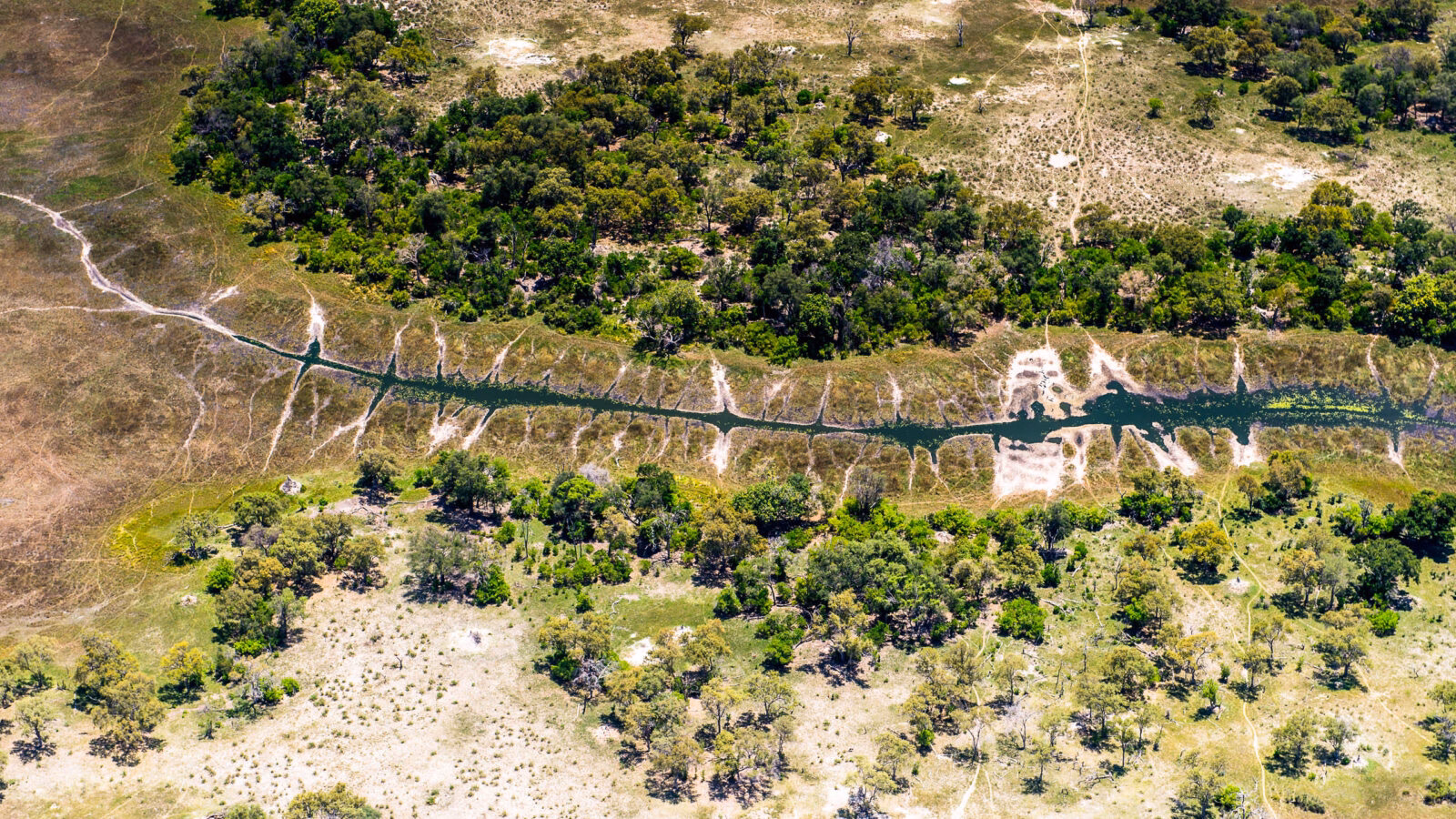 beautiful aerial view of the Okavango Delta (Okavango Grassland), One of the Seven Natural Wonders of Africa, Botswana