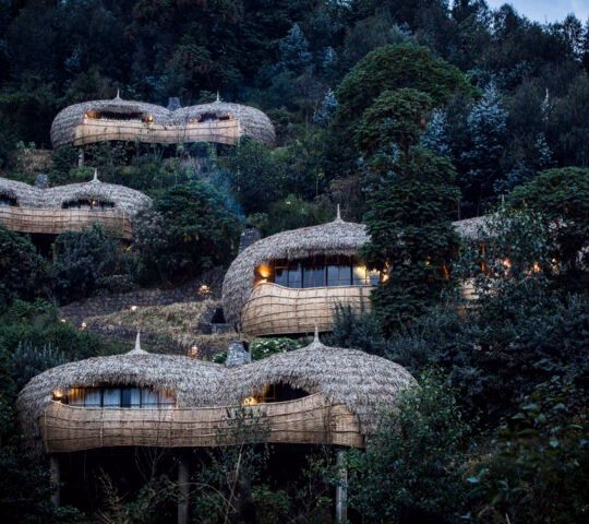 Several round thatched-roof buildings integrated into a dense, green forest on a hillside at dusk.