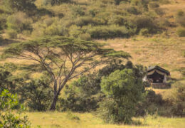 Kicheche Mara Camp
