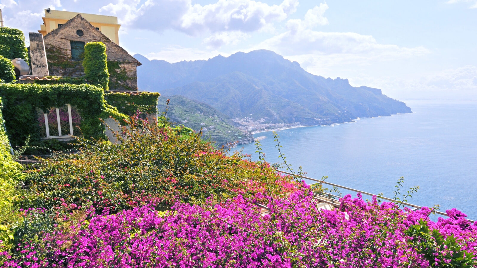 Vibrant pink flowers bloom on a terrace overlooking the hazy mountains and blue coastline during luxury Amalfi Coast holidays.