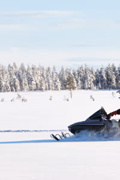 Swedish Winter Adventure