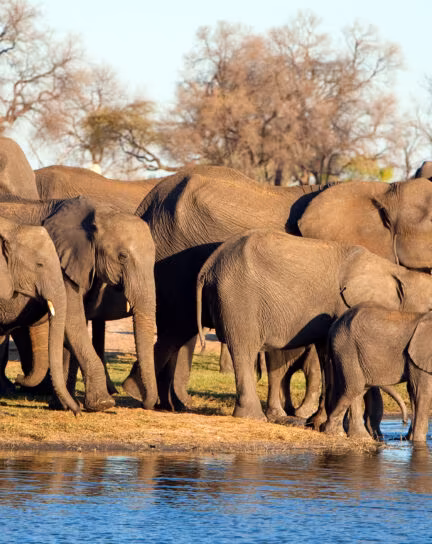 Where to See Wildlife in Zimbabwe