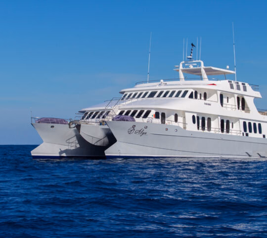 The Alya catamaran moored at sea, the Galapagos Islands, Ecuador