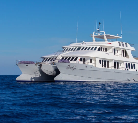 The Alya catamaran moored at sea, the Galapagos Islands, Ecuador