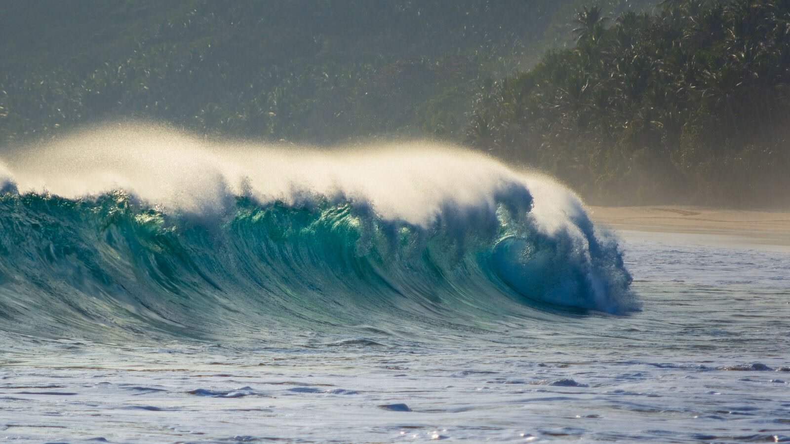 sumba-surf-wave