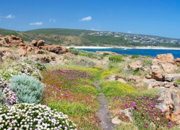 Perth and Margaret River thumbnail