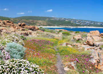 Perth and Margaret River thumbnail